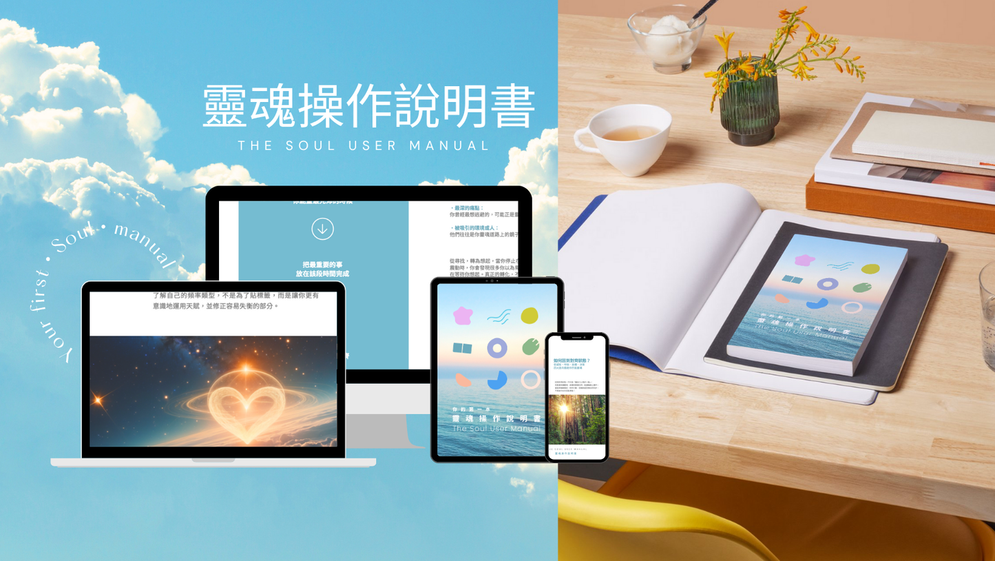 靈魂操作說明書 The Soul User Manual