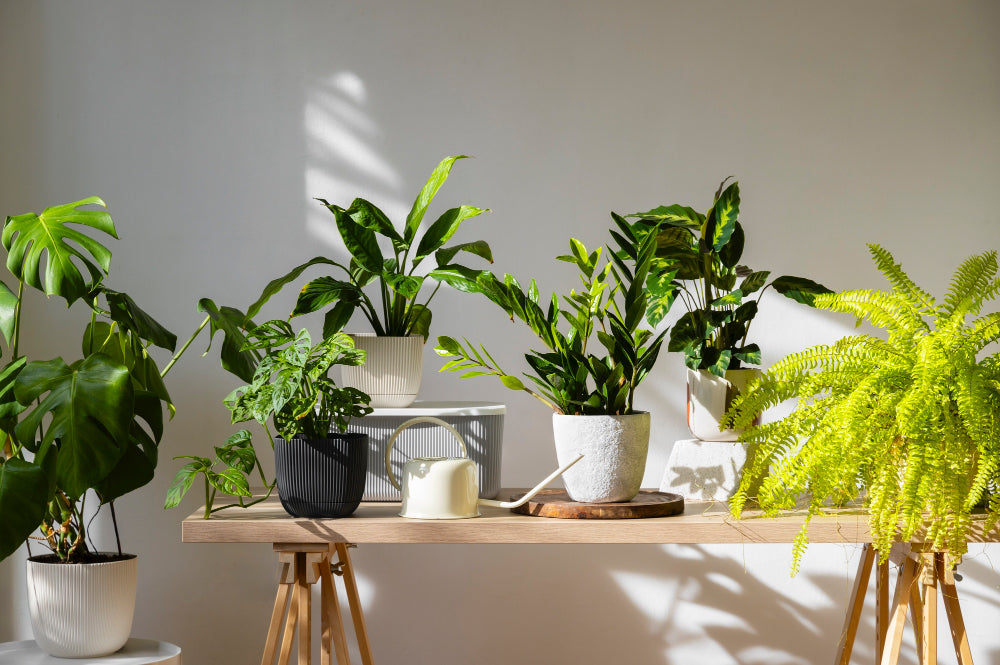 Eco-Friendly Home Essentials: How Coasters are Revolutionizing Sustainable Living