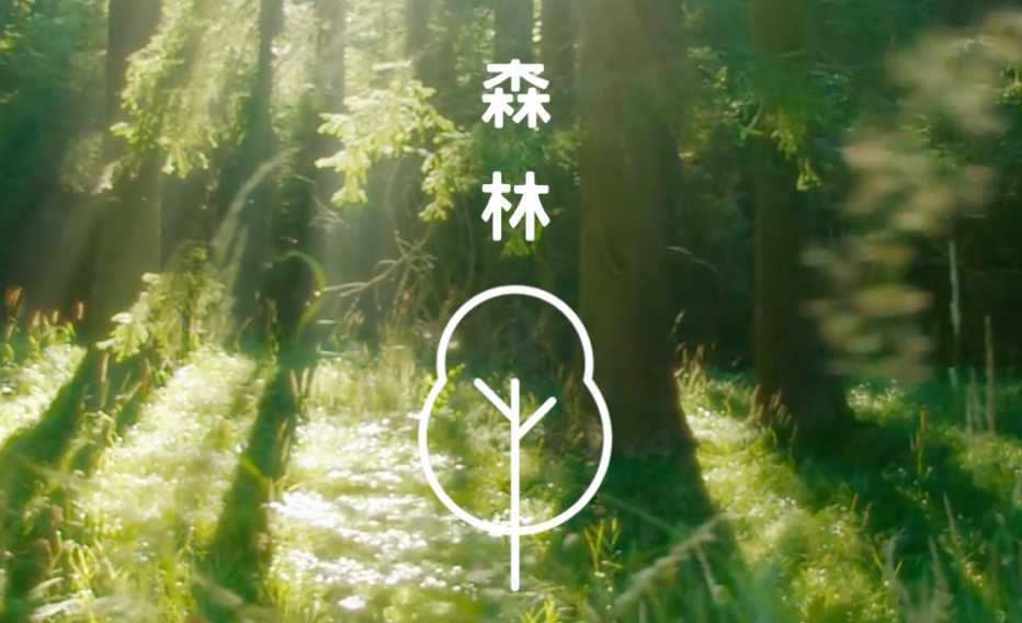 內在能量 × 隱藏天賦｜森林能量