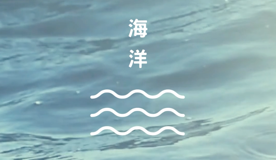內在能量 × 隱藏天賦｜海洋能量