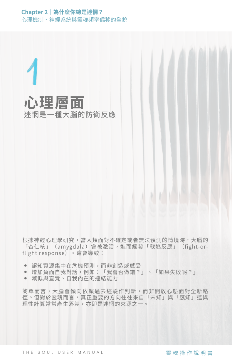 靈魂操作說明書 The Soul User Manual